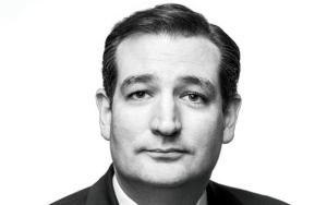 Ted Cruz, a Republican, represents Texas in the Senate, where he is a member of the Armed Services Committee.