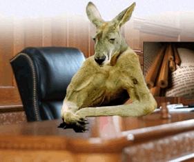 kangaroo-court